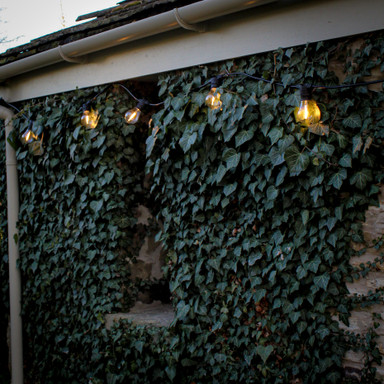 Tagra | Core Series | Connectable LED Festoon String | Black | 500mm Spacing | 10 Fixtures | IP44 | 5M - Core2__59611__75220__98348.jpg