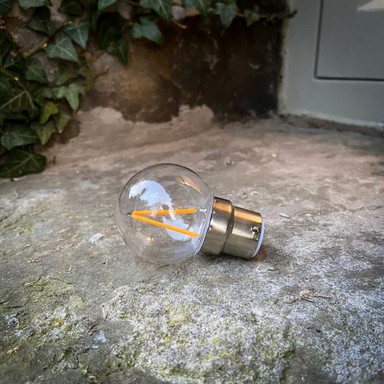 Tagra | LED Festoon Lamp | G45 Shatterproof | Clear Filament | 1700K - G45_Clear__83368__87797__27076.jpg
