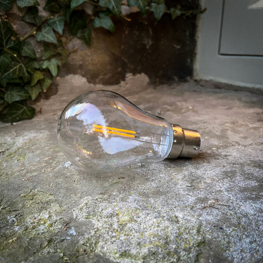 Tagra | LED Festoon Lamp | GLS Filament | 2700K - GLS_Clear__15989__87278__67931.jpg