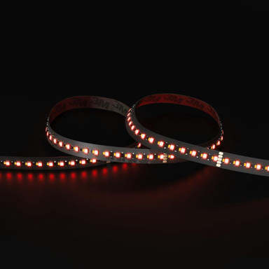 Tagra | Pro LED Strip Light | Long 48 | 160 LEDs p/m | 48V | IP20 | 19.2W/m | RGB+W | 15M Reel - LR48-RGBW-StripLight-RED.jpg