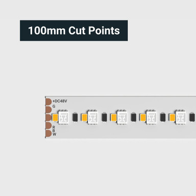 Tagra | Pro LED Strip Light | Long 48 | 160 LEDs p/m | 48V | IP20 | 19.2W/m | RGB+W | 15M Reel - LR48-RGBW-StripLight-CUT.jpg