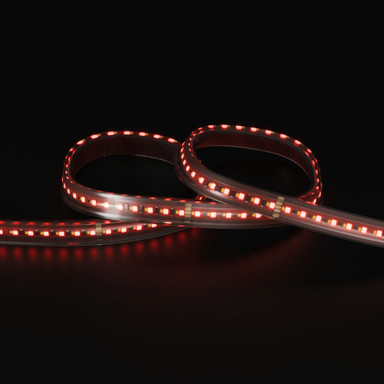 Tagra | Pro LED Strip Light | Long 48 | 240 LEDs/m | 48V | IP67 | 19.2W/m | RGB+W | 15M Reel - LR48-RGBW-IP-StripLight-RED.jpg