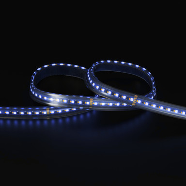 Tagra | Pro LED Strip Light | Long 48 | 160 LEDs/m | 48V | IP67 | 19.2W/m | RGB+W | 15M Reel - LR48-RGBW-IP-StripLight-BLUE.jpg