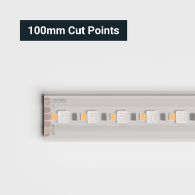 Tagra | Pro LED Strip Light | Long 48 | 240 LEDs/m | 48V | IP67 | 19.2W/m | RGB+W | 15M Reel - LR48-RGBW-IP-StripLight-CUT.jpg
