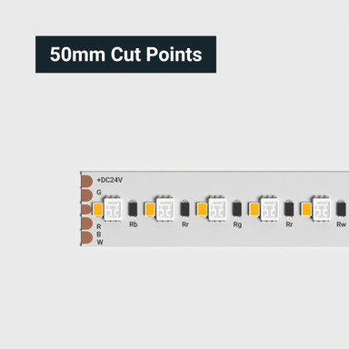 Tagra | High Definition LED Strip Light | 240 LEDs p/m | 24V | IP20 | 20W/m | RGB+W | 5M Reel - HD24-RGBW-StripLight-CUT.jpg