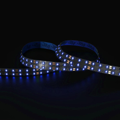 Tagra | Pro LED Strip Light | S Bend 15 | 168 LEDs p/m | 24V | IP20 | 20Wp/m | RGB | 5M Reel - DR24-SBRGB-StripLight-BLUE.jpg