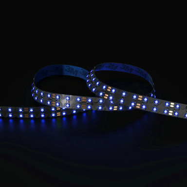 Tagra | Pro LED Strip Light | S Bend 15 | 168 LEDs p/m | 24V | IP20 | 22W/m | RGB | 5M Reel - DR24-SBRGB-StripLight-BLUE.jpg