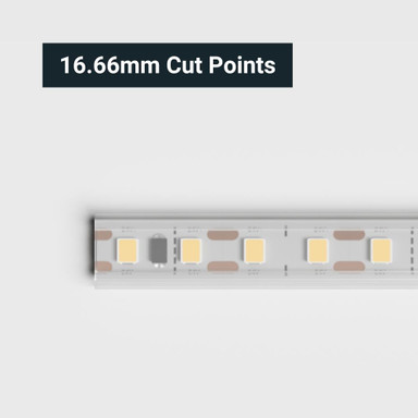 Cut to Size by Tagra | Professional LED Strip Light | 120 LEDs p/m | 24V | IP65 | 10.6W/m | Custom - PS24-120-IP-StripLight-CUT.jpg