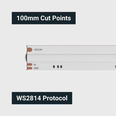 Tagra | Pixel COB LED Strip Light | 840 LEDs p/m | 10 Pixels p/m | 24V | IP20 | 16.0W/m | RGB+W | 5M Reel - TD24-RGBWCOB-StripLight-CUT.jpg