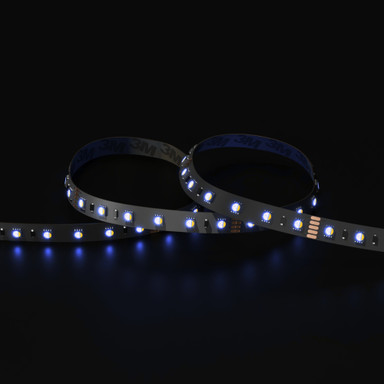 Tagra | Professional LED Strip Light | 60 LEDs p/m | 24V | IP20 | 19.2W/m | RGB+W | 5M Reel - TP24-RGBW-StripLight-BLUE.jpg