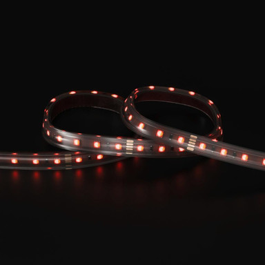 Tagra | Professional LED Strip Light | 60 LEDs p/m | 24V | IP67 | 19.2Wp/m | RGB+W | 5M Reel - TP24-RGBW-IP-StripLight-RED.jpg