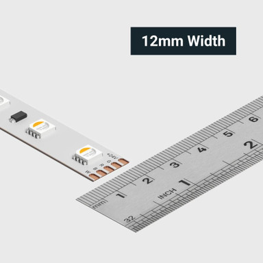 Tagra | Economy LED Strip Light | 60 LEDs p/m | 24V | IP20 | 19.2W/m | RGB+W | 5 & 50M Reels - TE24-RGBW-StripLight-WIDTH.jpg