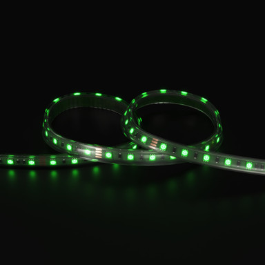 Tagra | Economy LED Strip Light | 60 LEDs/m | 24V | IP65 | 14.4W/m | RGB | 5 & 50M Reels  - TE24-RGB-IP-StripLight-GREEN.jpg