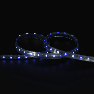 Tagra | Economy LED Strip Light | 60 LEDs p/m | 24V | IP65 | 14.4W/m | RGB | 5 & 50M Reels  - TE24-RGB-IP-StripLight-BLUE.jpg