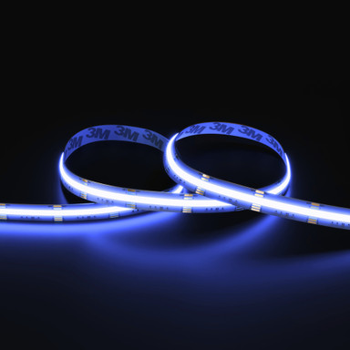 Tagra | Pro LED Strip Light | Pro COB | 840 LEDs/m | 24V | IP20 | 18.5 | RGB+W | 5 & 50M Reels - PC24-RGBW-StripLight-BLUE.jpg