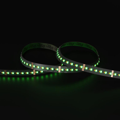 Tagra | Precision LED Strip Light | 240 LEDs p/m | 24V | IP20 | 20W/m | RGB+W | 5 & 50M Reels - PP24-RGBW240-StripLight-GREEN.jpg