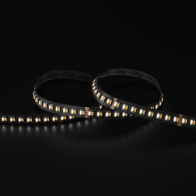 Tagra | Pro LED Strip Light | Pro SMD | 112 LEDs/m | 24V | IP20 | 34W/m | RGB+CCT | 5 & 50M - PS24-RGBCCT-StripLight-6K.jpg