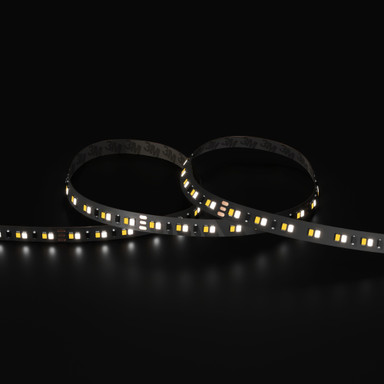 Tagra | Pro LED Strip Light | Pro SMD | 140 LEDs/m | 24V | IP20 | 14.4W/m | CCT | 5 & 50M Reels - PS24-236K140-StripLight-6K.jpg
