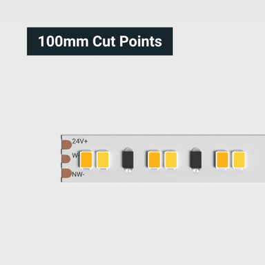 Tagra | Pro LED Strip Light | 140 LEDs/m | 24V | IP20 | 14.4W/m | CCT | 5 & 50M Reels - PS24-236K140-StripLight-CUT.jpg