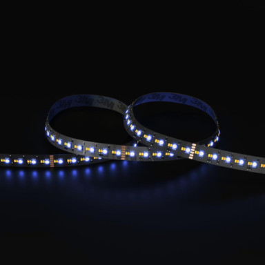 Tagra | Precision LED Strip Light | 288 LEDs p/m | 24V | IP20 | 18W/m | RGB+CCT | 5 & 50M Reels - PP24-RGB2365K288-StripLight-BLUE.jpg