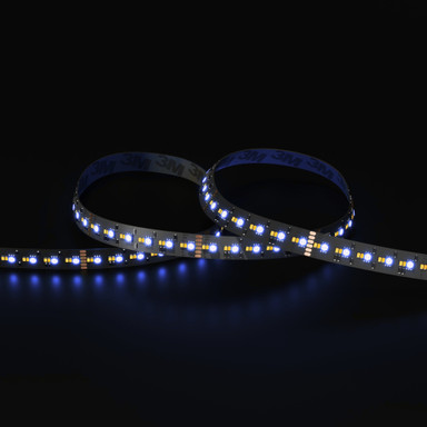 Tagra | Precision LED Strip Light | 288 LEDs/m | 24V | IP20 | 19.8W/m | RGB+CCT | 5 & 50M - PP24-RGB2365K288-StripLight-BLUE.jpg