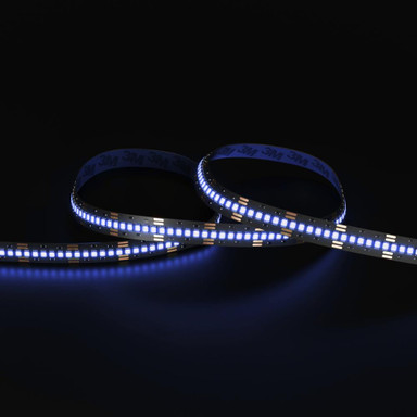 Tagra | Precision | LED Strip Light | 240 LEDs p/m | 24V | IP20 | 14.4W/m | RGB | 5M Reel - PP24-RGB240-StripLight-BLUE.jpg