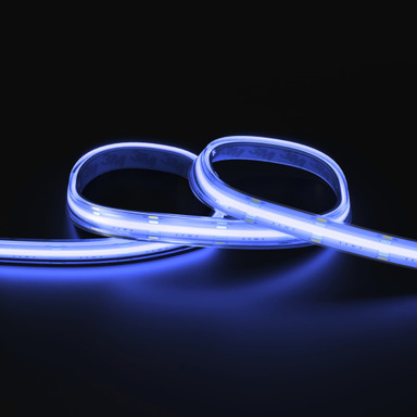 Tagra | Pro COB LED Strip Light | 840 LEDs/m | 24V | IP67 | 18.5W/m | RGB+W | 5 & 50M Reels - PC24-RGBW-67-StripLight-BLUE.jpg