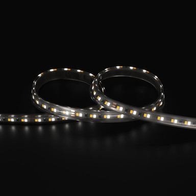 Tagra | Pro LED Strip Light | 140 LEDs/m | 24V | IP67 | 14.4W/m | CCT | 5 & 50M Reels - PS24-236K140-IP-StripLight-6K.jpg