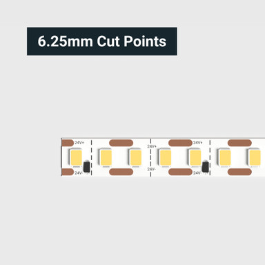 Tagra | Pro LED Strip Light | Pro SMD | 160 LEDs/m | 24V | IP20 | 15.8 | 5 & 50M Reels - PS24-160-StripLight-CUT.jpg