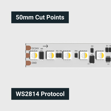 Tagra | Pixel LED Strip Light | 120 LEDs p/m | 20 pixels p/m | 24V | IP20 | 36W/m | RGB+W | 5M Reel - TD24-RGBW120-StripLight-CUT.jpg