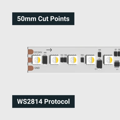 Tagra | Pixel LED Strip Light | 120 LEDs p/m | 20 pixels p/m | 24V | IP20 | 30W/m | RGB+W | 5M - TD24-RGBW120-StripLight-CUT.jpg