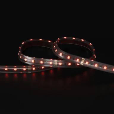Tagra | Pro LED Strip Light | 60 LEDs p/m | 24V | IP67 | 18 | RGB+W | 5 & 50M Reels - PS24-RGBW60-IP-StripLight-RED.jpg