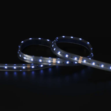 Tagra | Pro LED Strip Light | 60 LEDs p/m | 24V | IP67 | 18 | RGB+W | 5 & 50M Reels - PS24-RGBW60-IP-StripLight-BLUE.jpg