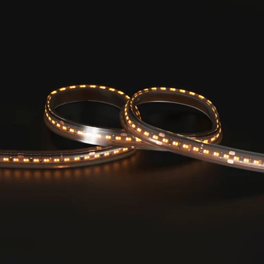 Tagra | Pro LED Strip Light | Dim to Warm | 252 LEDs p/m | 24V | IP67 | 16.5W/m| 1800-3000K | 5M Reel - PS24-DTW-67-StripLight-24K.jpg