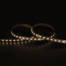 Tagra | Professional LED Strip Light | 168 LEDs p/m | 24V | IP20 | 14.4Wp/m | 1900K-3000K | 5M Reel - TP24-193K-StripLight-3K.jpg
