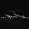 Tagra | Professional LED Strip Light | 60 LEDs p/m | 24V | IP20 | 20Wp/m | RGB+2300K-6500K | 5M Reel - TA24-RGB2365K-StripLight-6K.jpg