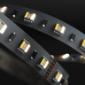 Tagra | Professional LED Strip Light | 60 LEDs p/m | 24V | IP65 | 20Wp/m | RGB+2300K-6500K | 5M Reel - TA24-RGB2365K-StripLight-ON.jpg