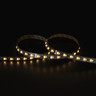 Tagra | Professional LED Strip Light | 140 LEDs p/m | 24V | IP20 | 19.2W/m | CCT | 5 & 50M Reel - TP24-276K-StripLight-27K.jpg