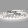 Tagra | Professional LED Strip Light | 64 LEDs p/m | 24V | IP20 | 4.8W/m | 6000K | 5M Reel - PS24V-27K-64-5M-90-6K__91711__64670__88554.jpg