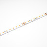 Tagra | Professional LED Strip Light | 128 LEDs p/m | 24V | IP20 | 9.6W/m | 6000K | 5M Reel - PS24-128-IP20-STRIP__30585__24933__60358.jpg