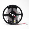 Tagra | Professional LED Strip Light | 128 LEDs p/m | 24V | IP20 | 9.6W/m | 6000K | 5M Reel - PS24-128-IP20-REEL__37110__40866__05104.jpg