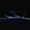 Tagra | Professional LED Strip Light | 60 LEDs p/m | 24V | IP20 | 14.4Wp/m | RGB | 5M Reel - TP24-RGB-StripLight-BLUE.jpg