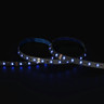 Tagra | Professional LED Strip Light | 60 LEDs p/m | 24V | IP20 | 14.4Wp/m | RGB | 5M Reel - TP24-RGB-StripLight-BLUE.jpg