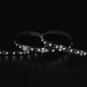 Tagra | Pixel LED Strip Light | 60 LEDs p/m | 20 pixels p/m | 12V | IP20 | 19.2W/m | RGB+4000K | 5M Reel - TD12-RGBW-60-StripLight-4K.jpg