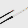 Cut to Size by Tagra | Essential LED Strip Light | 60 LEDs p/m | 24V | IP20 | 4.8Wp/m | Custom - CTO-ES24-60_STRIPWIRE.jpg
