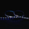 Cut to Size by Tagra | Economy LED Strip Light | 60 LEDs p/m | 24V | IP20 | 14.4W/m | RGB | Custom - TE24-RGB-StripLight-BLUE.jpg