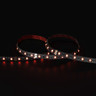 Cut to Size by Tagra | Economy LED Strip Light | 60 LEDs p/m | 24V | IP20 | 14.4W/m | RGB | Custom - TE24-RGB-StripLight-RED.jpg