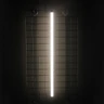 Ntube by Tagra | LED Tube Luminaire | 350° | 25mm | 24V | IP20 | 3000K | Custom - Single_Tube_Imagery_-_Warm_White__37099__96560__14724.jpg