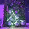 Ntube by Tagra | LED Tube Luminaire | 350° | 25mm | 24V | IP20 | 6000K | Custom - Standard_Cool_White__81780__97898__97537.jpg