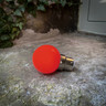 G45 Golf Ball Shape Shatterproof Festoon Lamp Red B22 - G45_Red__59092__50568__73819.jpg